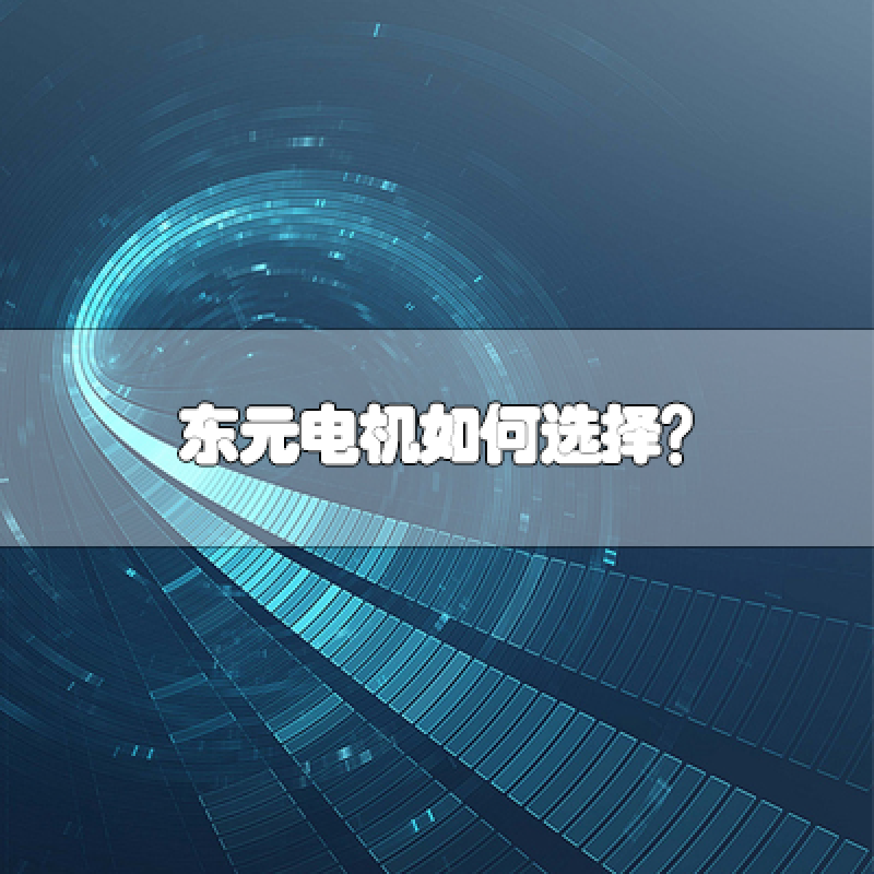 TECO万向娱乐电机如何选择？